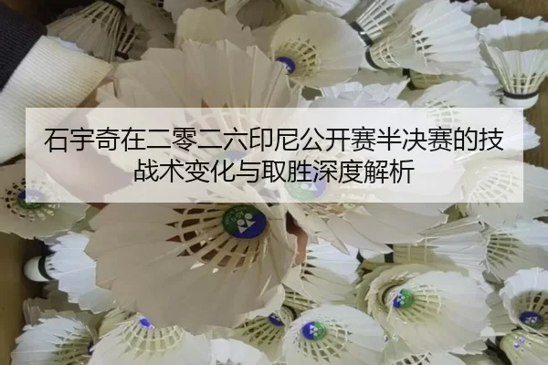 shi-yu-qi-zai-er-ling-er-liu-yin-ni-gong-kai-sai-ban-jue-sai-de-ji-zhan-shu-bian-hua-yu-qu-sheng-shen-du-jie-xi-2-513.jpg